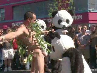 裸 pandas トリック または 扱う ただ で 時間 のために ハロウィン